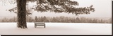 First Snow II Stretched Canvas Print by Mike Sleeper