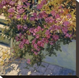 Steps and Summer Flowers Stretched Canvas Print by Philip Craig
