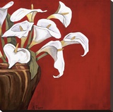 Callas on Red Stretched Canvas Print by Ann Parr