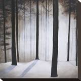 Winter Solace Stretched Canvas Print by Patrick St. Germain