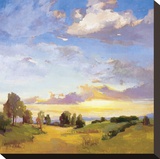 Golden Horizons Stretched Canvas Print by Vicki Mcmurry