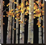 Aspen Grove Reproduction transférée sur toile par Michael O'Toole