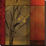 Floral Warmth Stretched Canvas Print by Edward Aparicio
