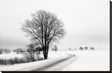 The Way Home Stretched Canvas Print by Ily Szilagyi