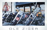 Harley Davidson Art by Ole Ziger