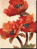 Poppies I Stretched Canvas Print by Joyce Kamikura