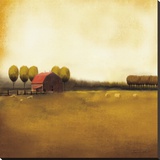 Rural Landscape II Stretched Canvas Print by Tandi Venter