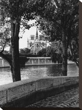 Notre Dame Stretched Canvas Print by Clay Davidson
