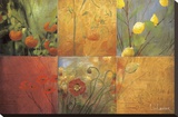 Citrus Garden Stretched Canvas Print by Don Li-Leger