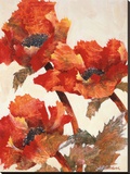 Poppies II Stretched Canvas Print by Joyce Kamikura