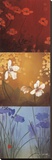 Aura Stretched Canvas Print by Don Li-Leger