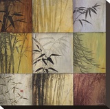 Bamboo Nine Patch II Reproduction transférée sur toile par Don Li-Leger