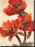 Poppies I Stretched Canvas Print by Joyce Kamikura