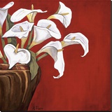 Callas on Red Stretched Canvas Print by Ann Parr