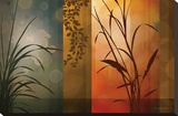Dusk to Dawn Stretched Canvas Print by Edward Aparicio