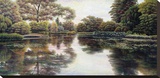 Nature's Tapestry Stretched Canvas Print by David Howells