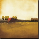 Rural Landscape II Stretched Canvas Print by Tandi Venter