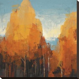 The Maples I Stretched Canvas Print by Peter Colbert