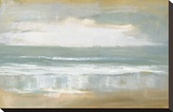 Shoreline Stretched Canvas Print by Caroline Gold