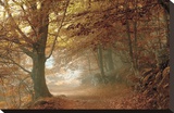 Autumn Dream Leinwand von Toni Vila