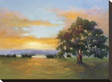 A Sunset Salute Stretched Canvas Print by Vicki Mcmurry
