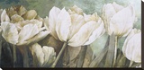 Taste of Summer Reproduction transférée sur toile par Linda Thompson