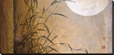 Lakeside Moonrise Stretched Canvas Print by Don Li-Leger
