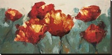 Poppies On Slate Stretched Canvas Print by Peter Colbert