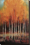 Morning Whisper Stretched Canvas Print by Peter Colbert