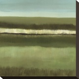 Still Waters Stretched Canvas Print by Caroline Gold