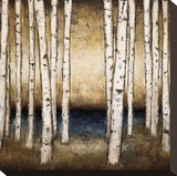 Birch Landing Stretched Canvas Print by Patrick St. Germain
