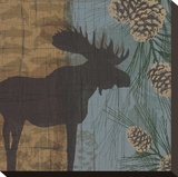 Yellowstone Park II Stretched Canvas Print by Tandi Venter