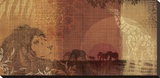 Safari Sunset II Stretched Canvas Print by Tandi Venter