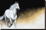 Light and Dark Stretched Canvas Print by Milenko Katic