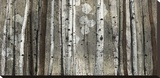 Silver Lining Stretched Canvas Print by Tandi Venter