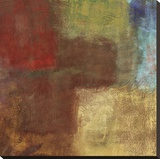 Inner Glow I Stretched Canvas Print by Jason Cardenas