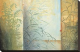 Ferns and Grasses Reproduction transférée sur toile par Don Li-Leger