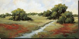 Kissimmee Grasslands Stretched Canvas Print by Maija Baynes