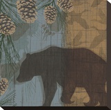 Yellowstone Park I Stretched Canvas Print by Tandi Venter