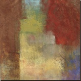 Inner Glow II Stretched Canvas Print by Jason Cardenas