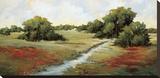 Kissimmee Grasslands Stretched Canvas Print by Maija Baynes