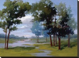 Wandering Water Stretched Canvas Print by Vicki Mcmurry