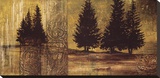 Forest Silhouettes II Stretched Canvas Print by Linda Thompson