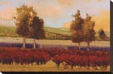 St. Pierre Stretched Canvas Print by Kent Lovelace