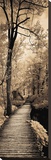A Quiet Stroll I Stretched Canvas Print by Ily Szilagyi