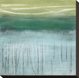 Shoreline Memories I Stretched Canvas Print by Heather Mcalpine