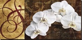 Moonlit Orchids Stretched Canvas Print by Keith Mallett