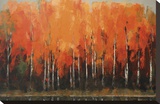 Birch Shoreline Stretched Canvas Print by Peter Colbert