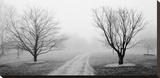 Road to Somewhere Stretched Canvas Print by Michael Iacobellis