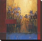 Iris Sunrise Stretched Canvas Print by Don Li-Leger